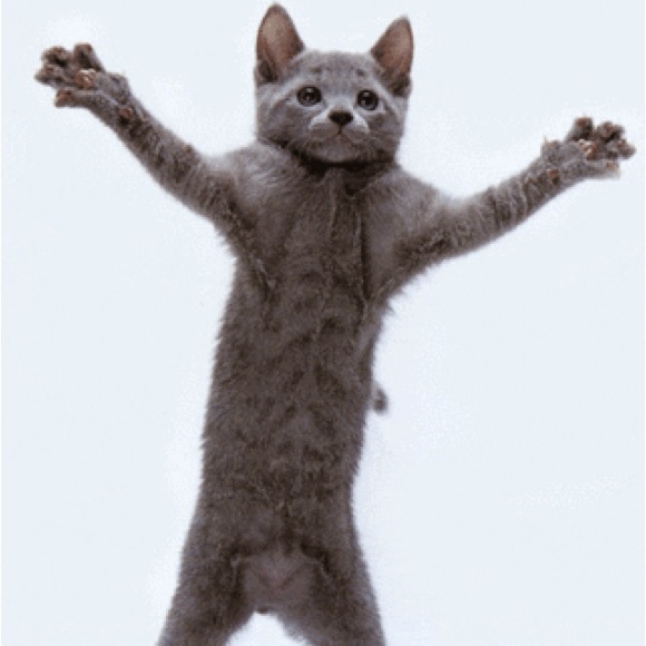 Meet your Posher, Reyna - Picture 1 of 1